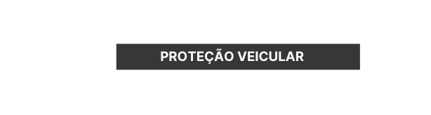 PROTEÇÃO VEICULAR